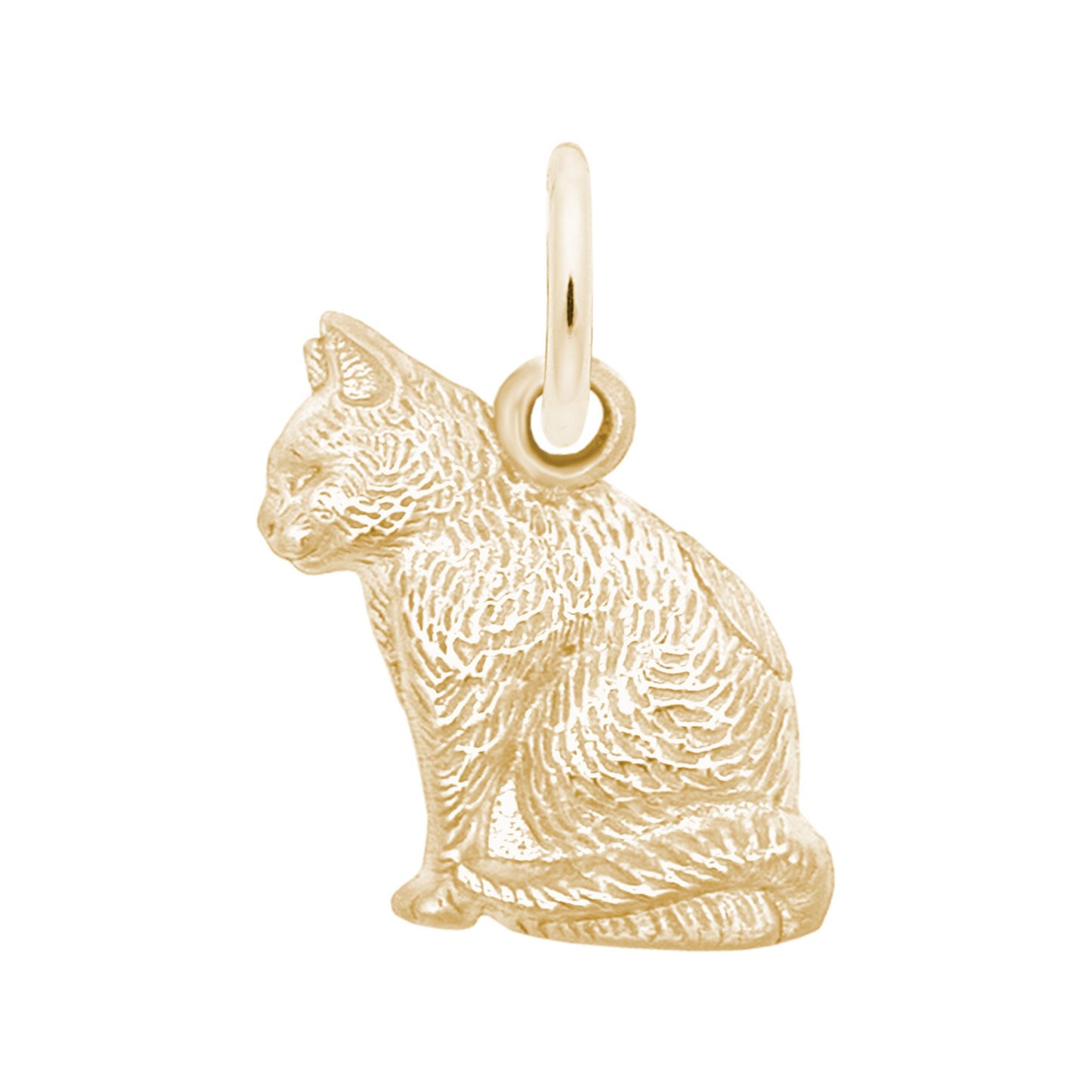 1159 Cat Charm