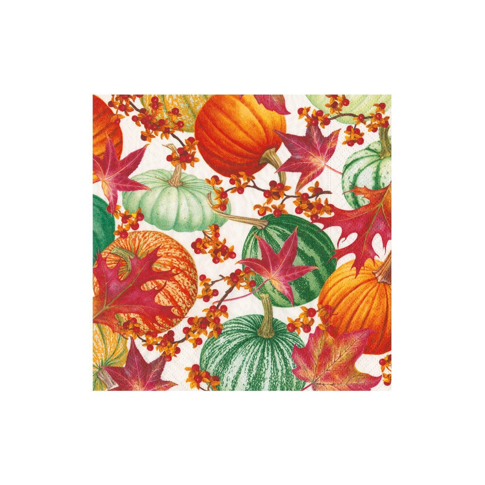 Caspari Gourds and Leaves Recycled Cocktail Napkins - Set of 20