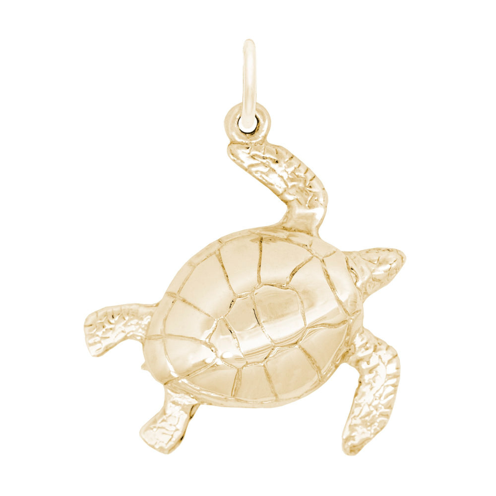 2481 Large Turtle Charm