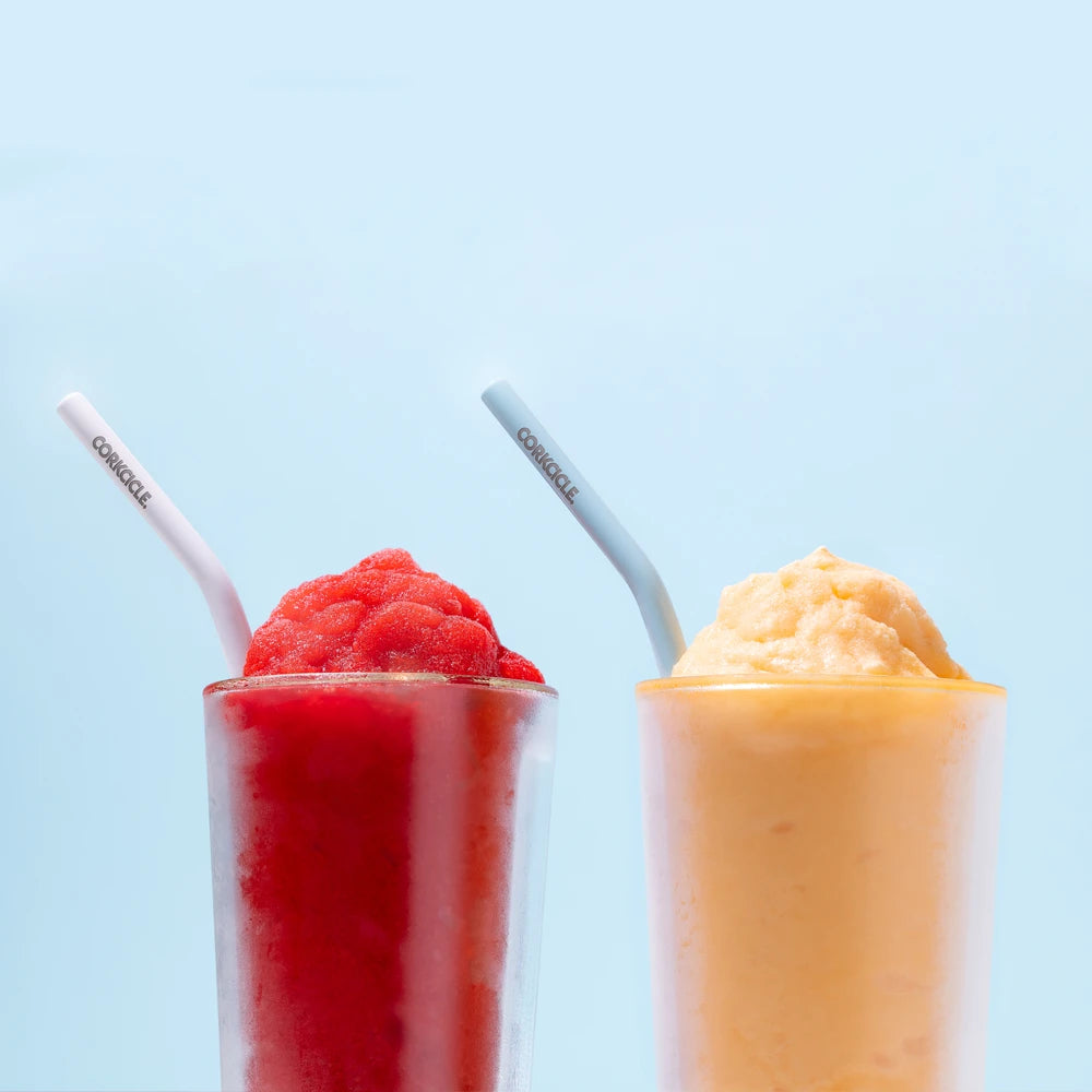 Corkcicle Ceramic Coated Straw Set