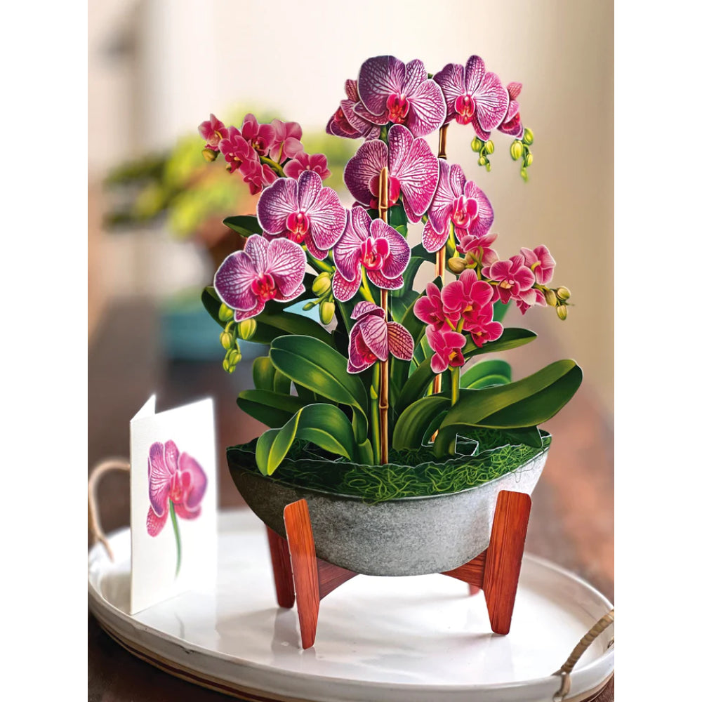 Orchid Oasis Pop-Up Greeting Card