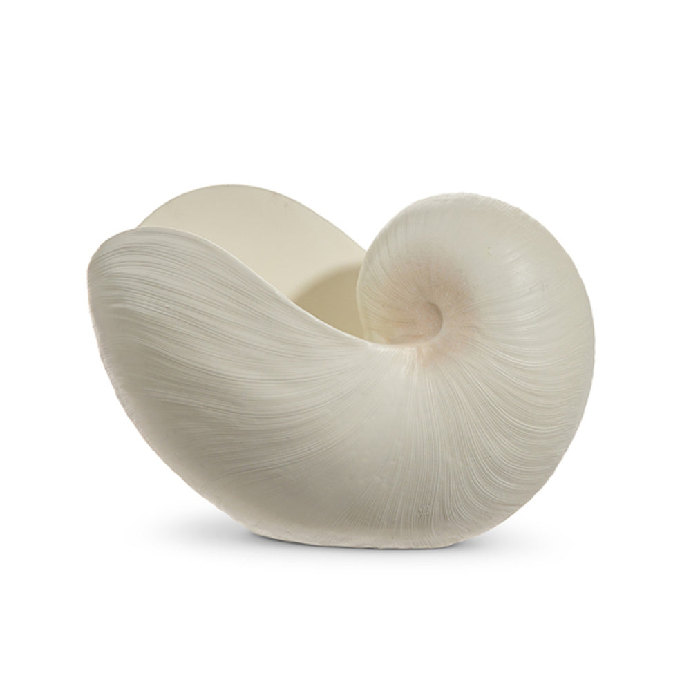 Raz Imports 11.5" Cream Shell