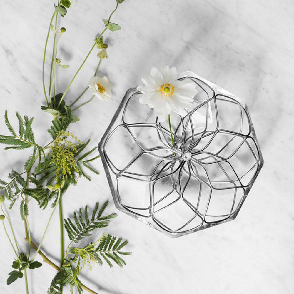 Orrefors Bloom Vase
