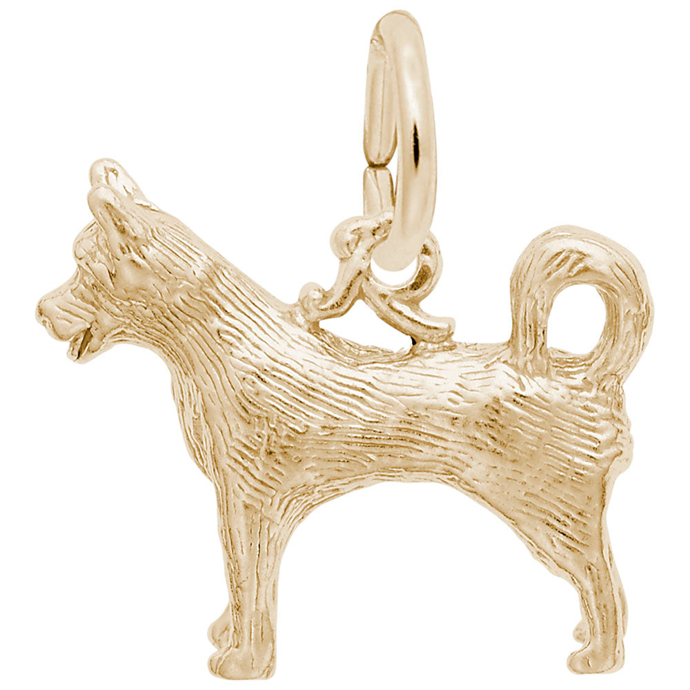 Gold husky dog charm on a white background