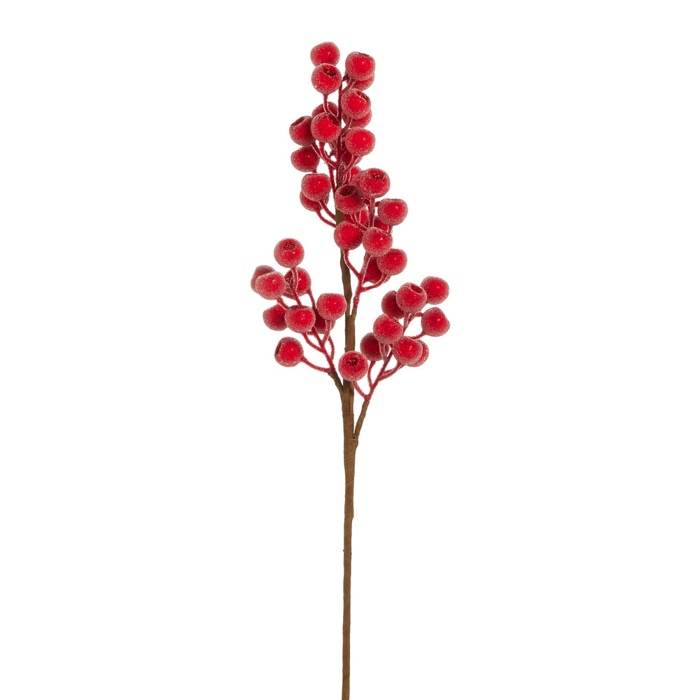 Red berry spray