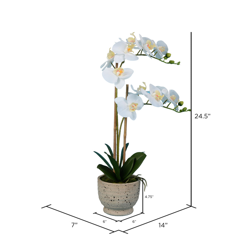 Vickerman 24.5" Artificial White Phalaenopsis In Cement Pot (In-store Only)
