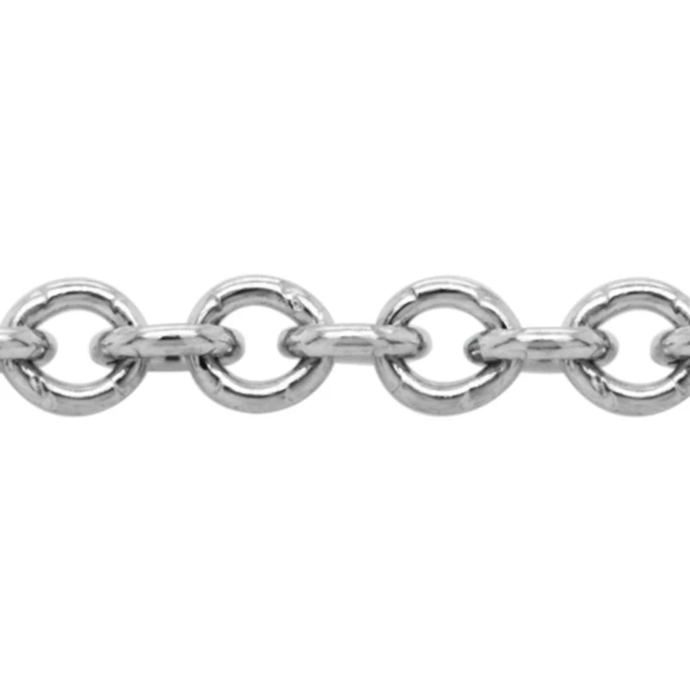 Silver chain on a white background