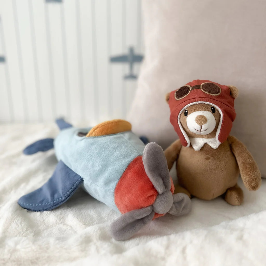 Mon Ami Pilot Bear and Plane