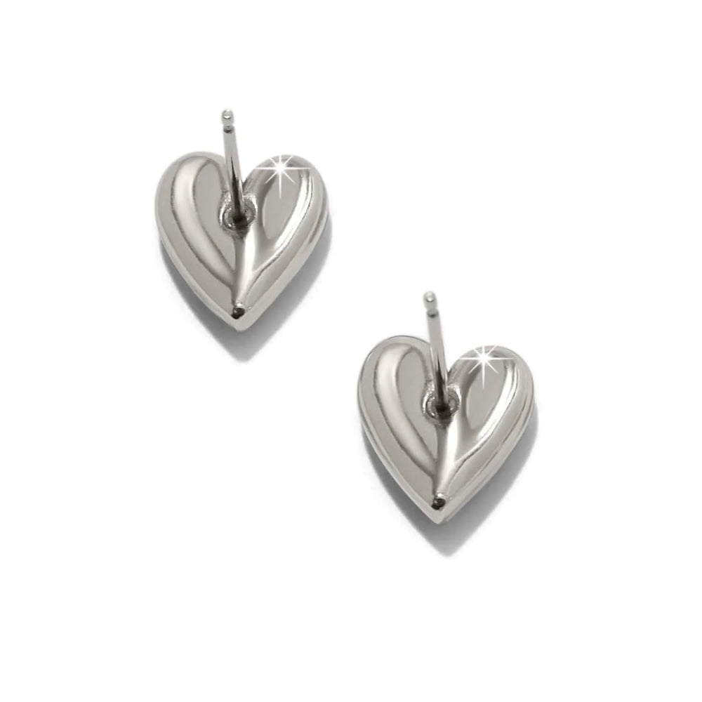 back of silver earrings