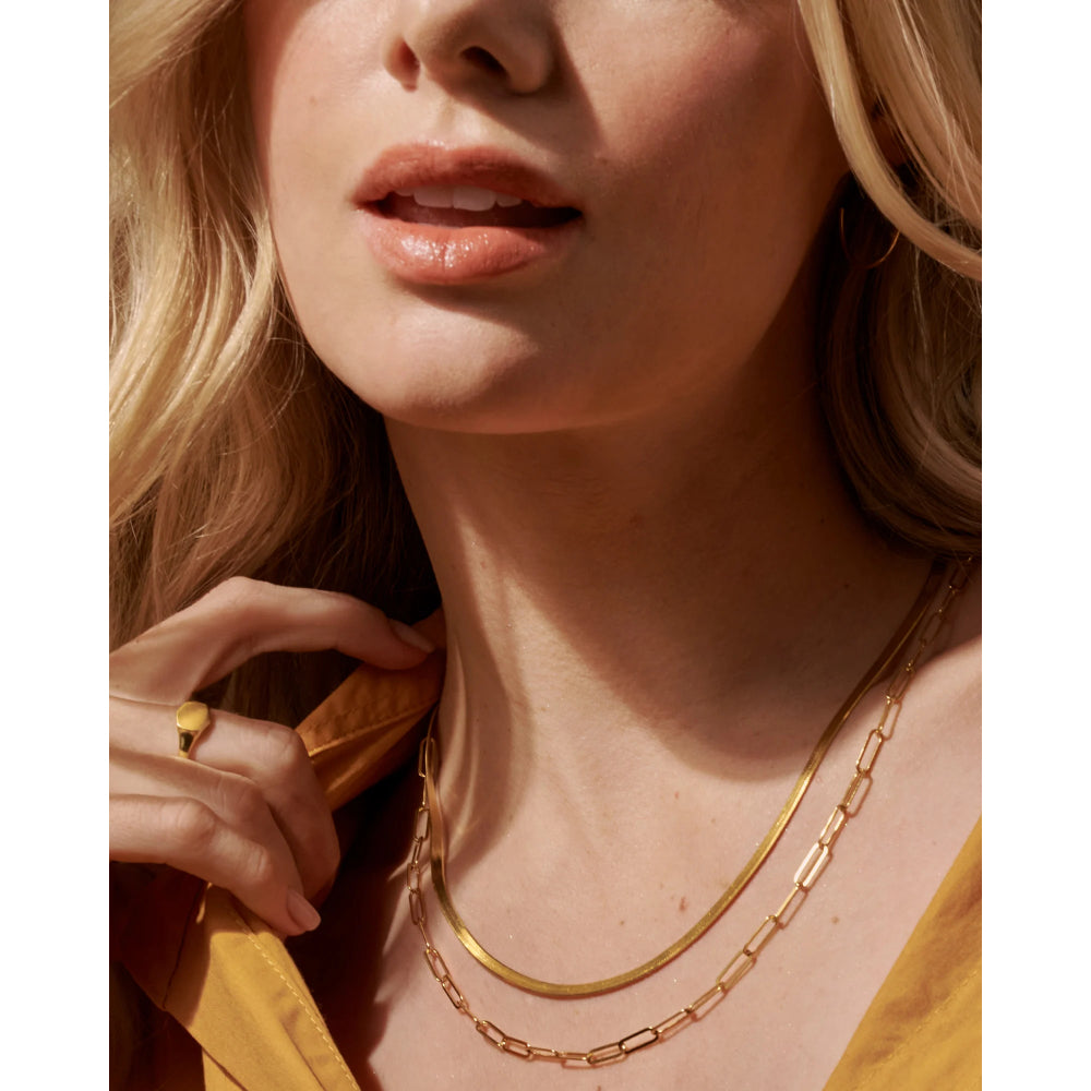 Kendra Scott Davis Signet Ring in 18k Gold Vermeil