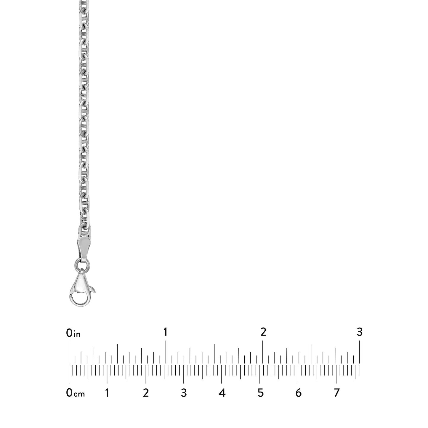 Silver chain with a clasp and measurement scale on a white background