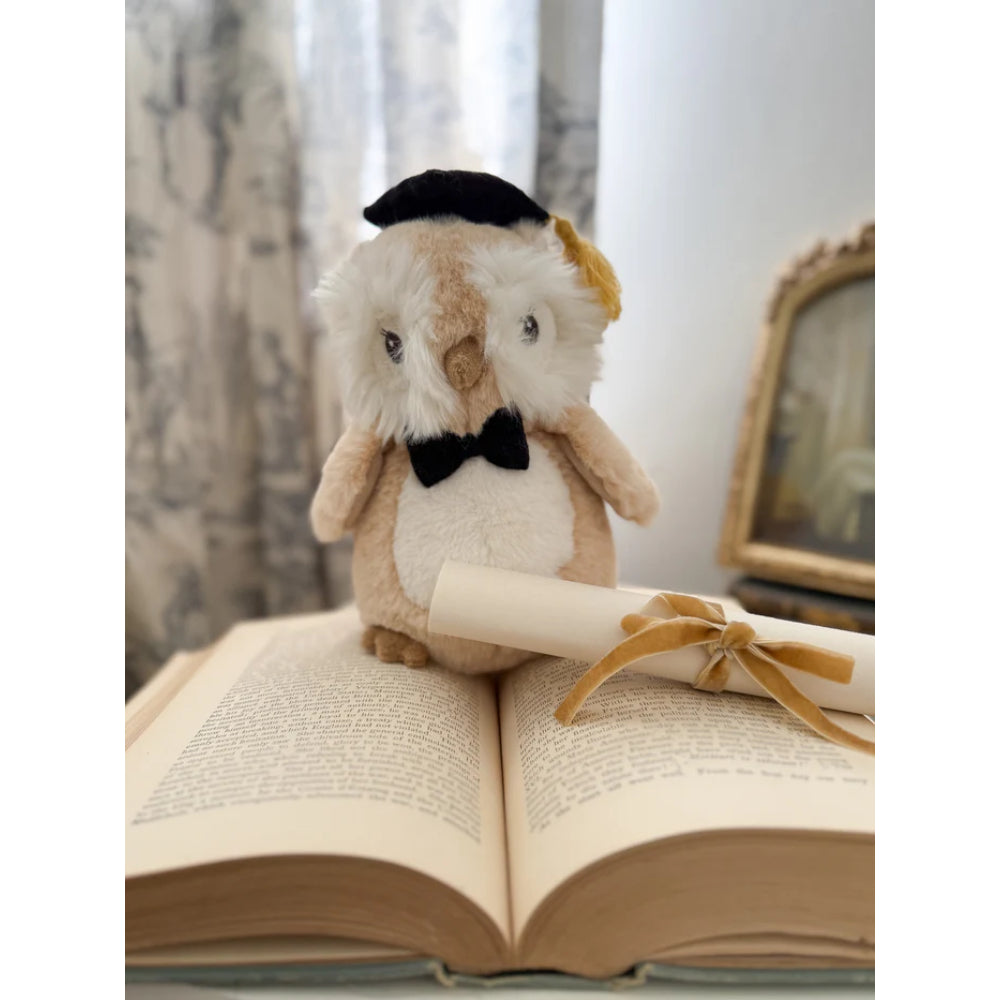 Mon Ami The Graduate Owl
