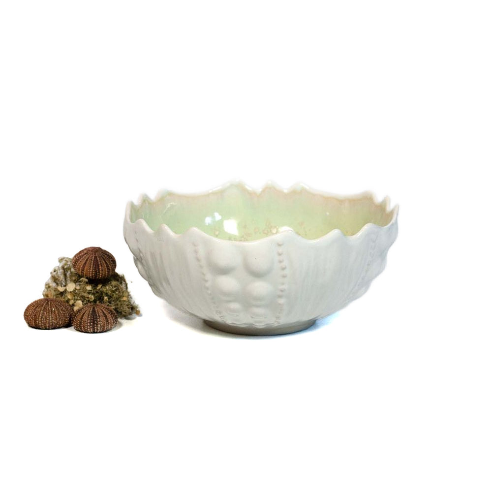 AE Ceramics Medium Sea Urchin Bowl