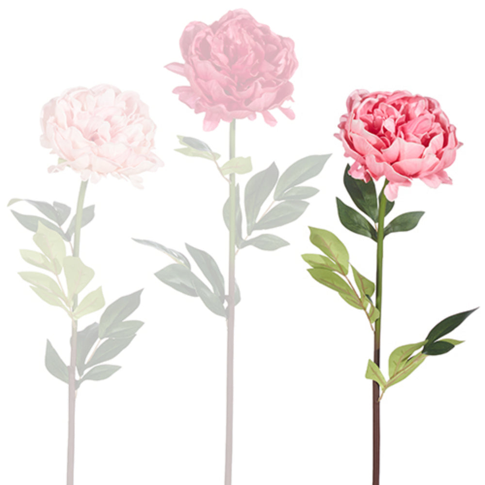 25" Real Touch Peony Stem