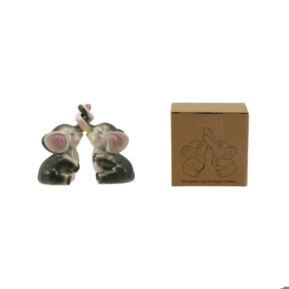 Two ceramic koala-shaped salt and pepper shakers with a cardboard box featuring the same design on a white background.