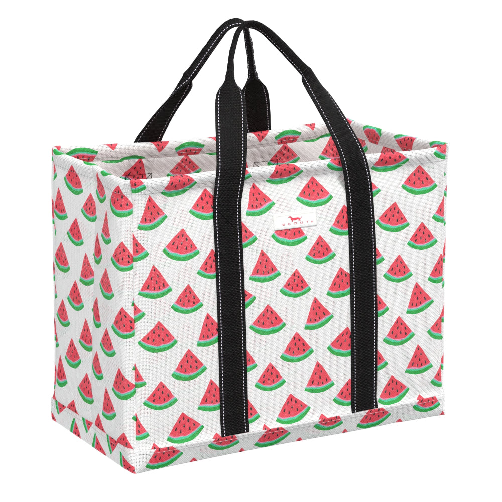 Scout Roadtripper - Summer 2025