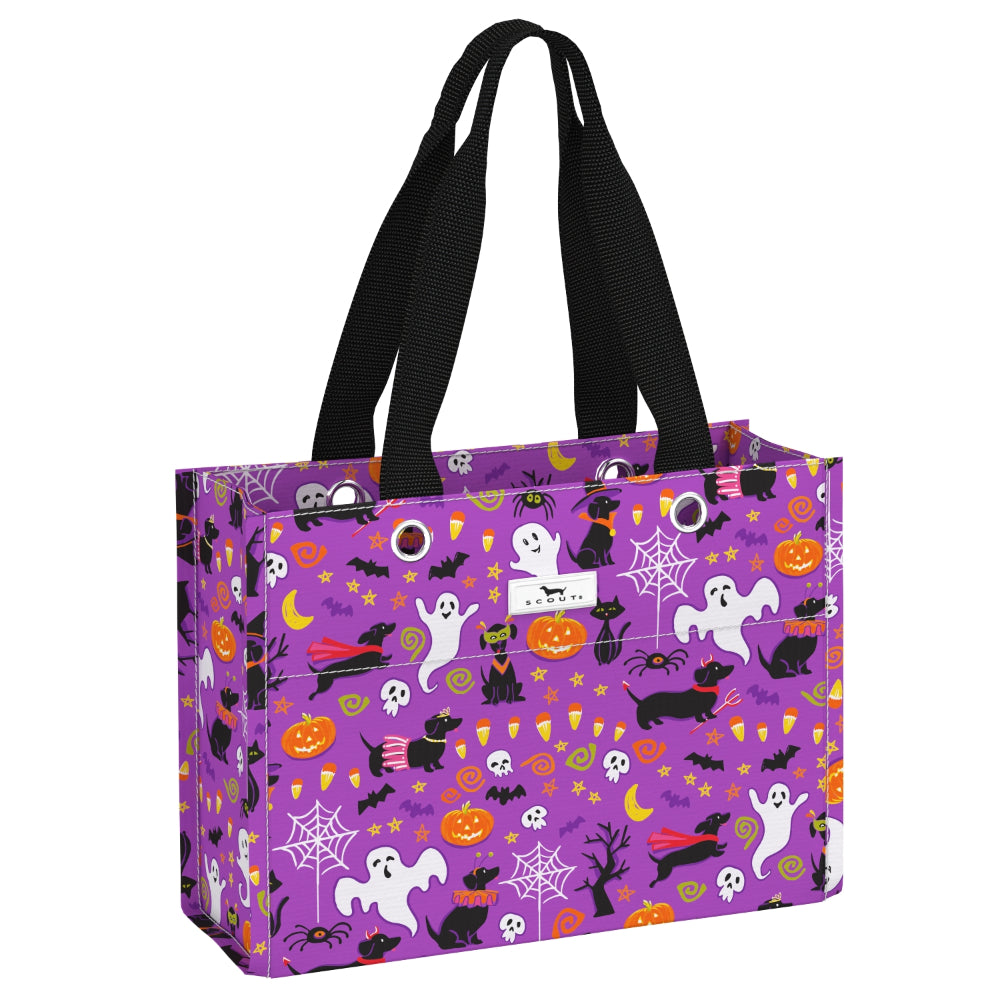 Scout Tiny Package Reusable Gift Bag - Fall 2025