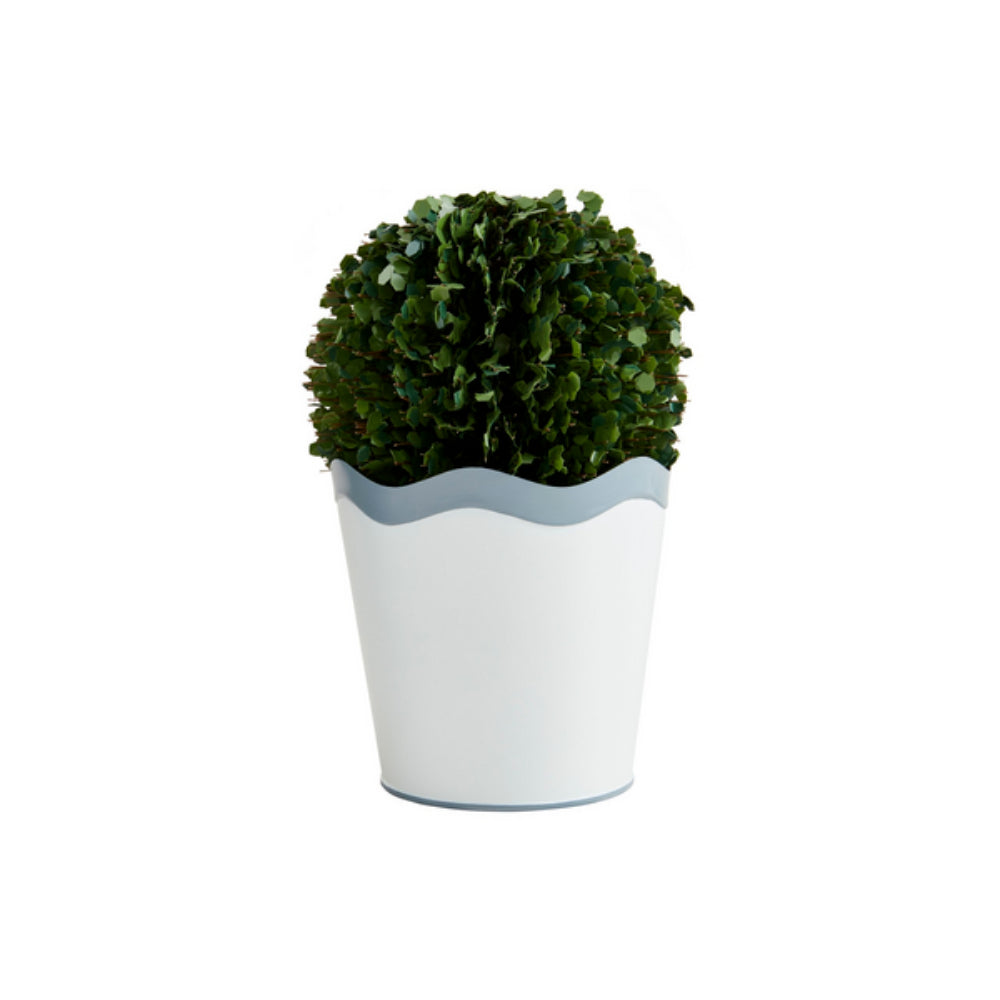 Mud Pie Wavy Boxwood Pot