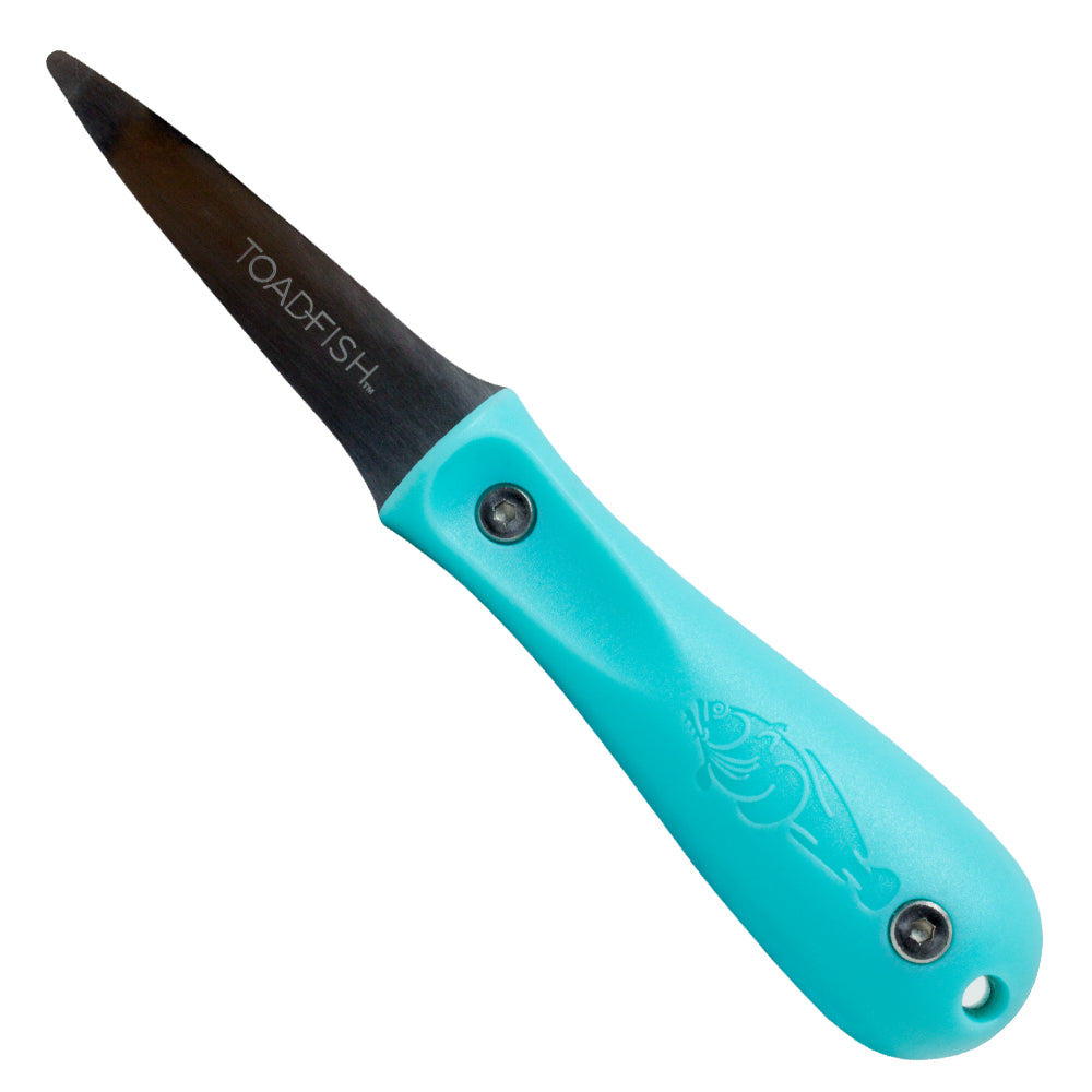 Teal handled oyster knife with black blade on a white background.