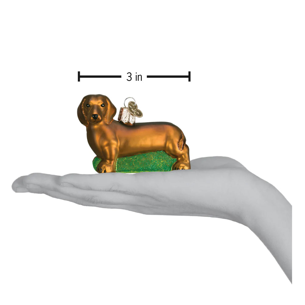 A christmas ornament of a brown Dachshund on a hand showing measurements a white backround.