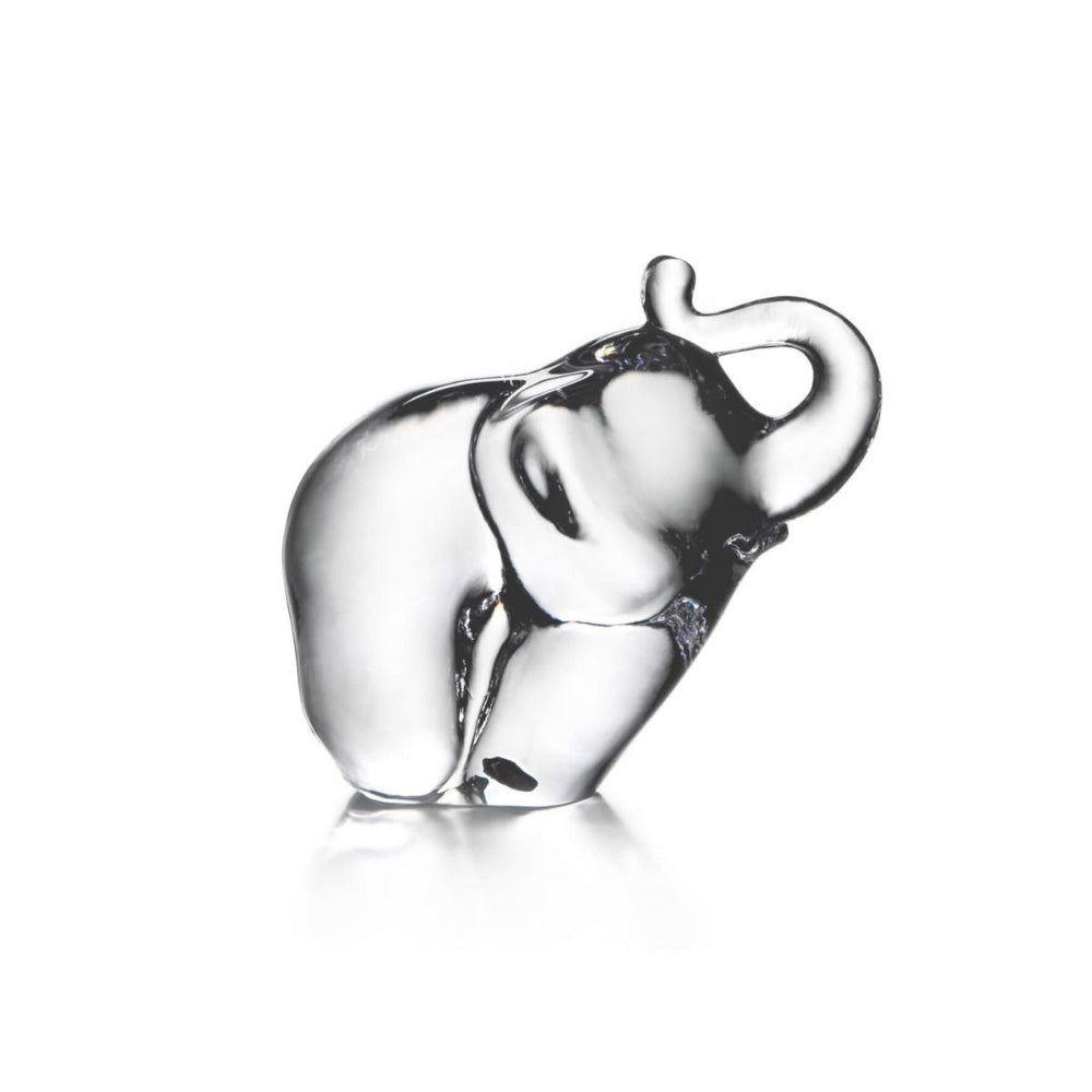 Clear glass elephant figurine on a white background