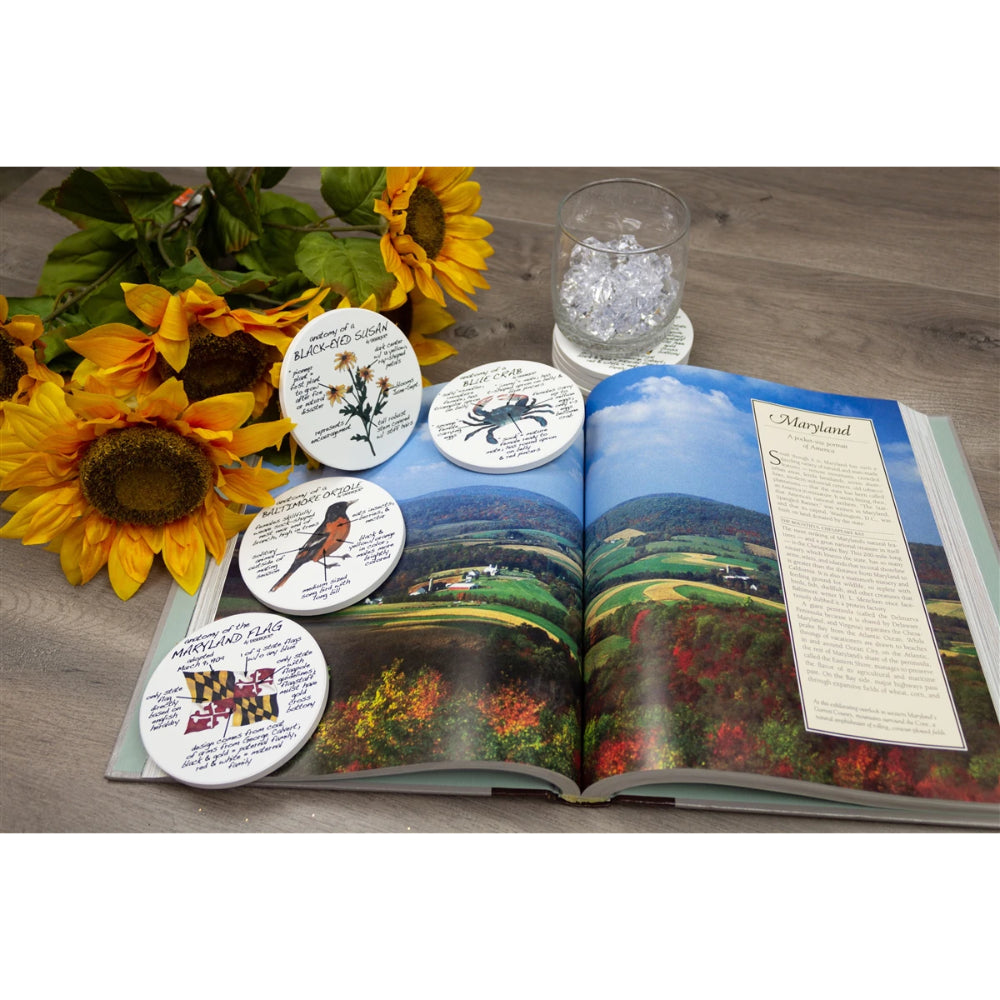 Dishique Maryland Anatomy Coaster - Set of 4