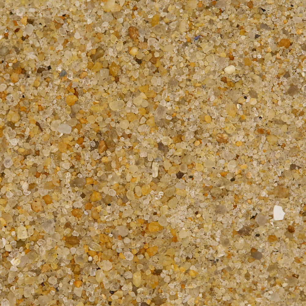 Dune Jewelry Sterling Silver Delicate Dune Bar Necklace