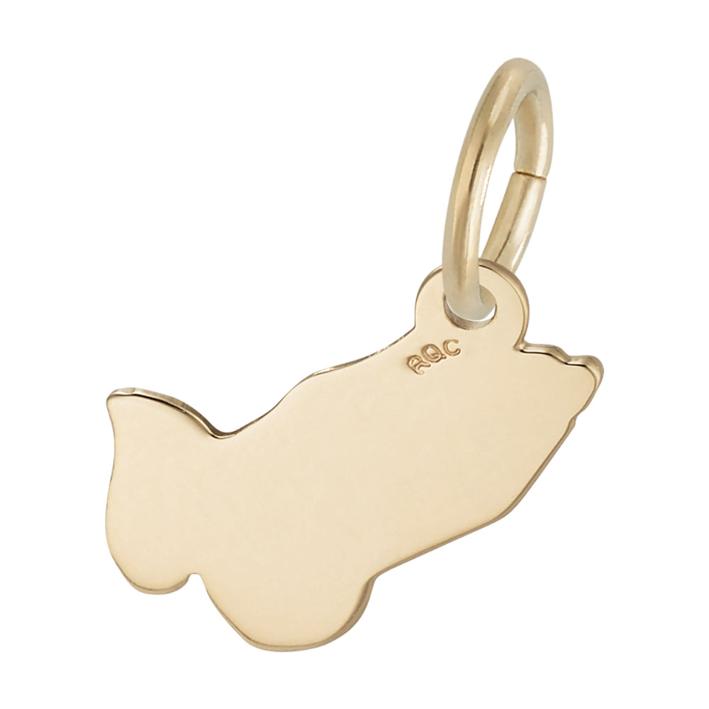 0216 Petite Praying Hands Charm