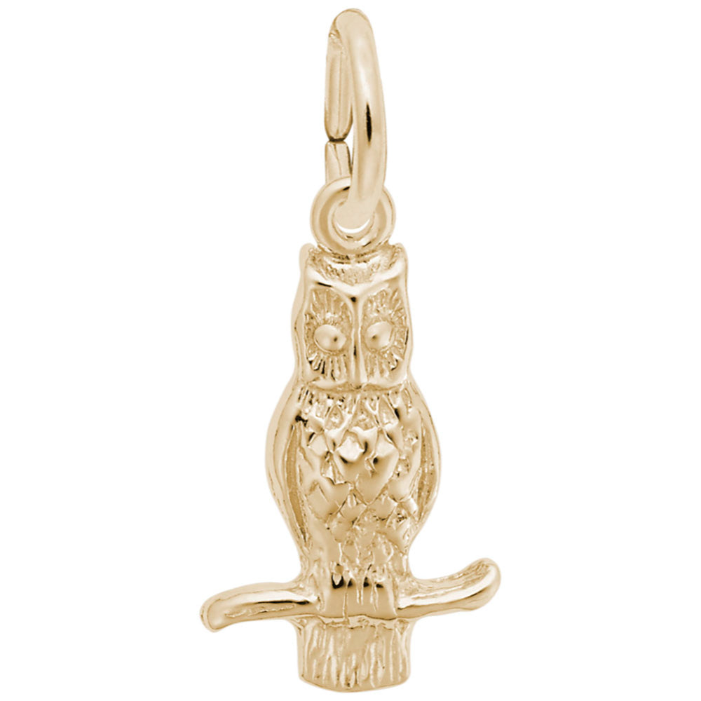 Gold owl charm on a white background