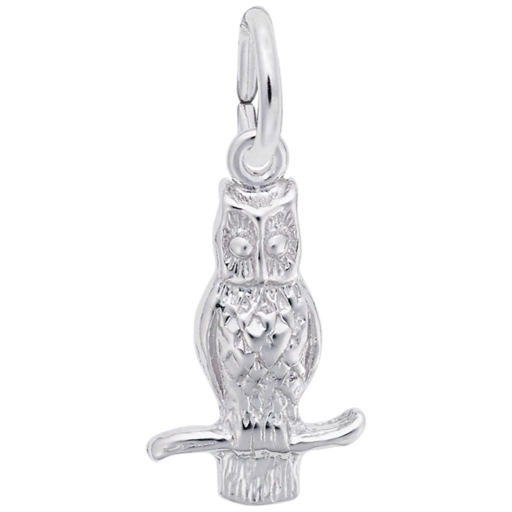 Silver owl charm on a white background