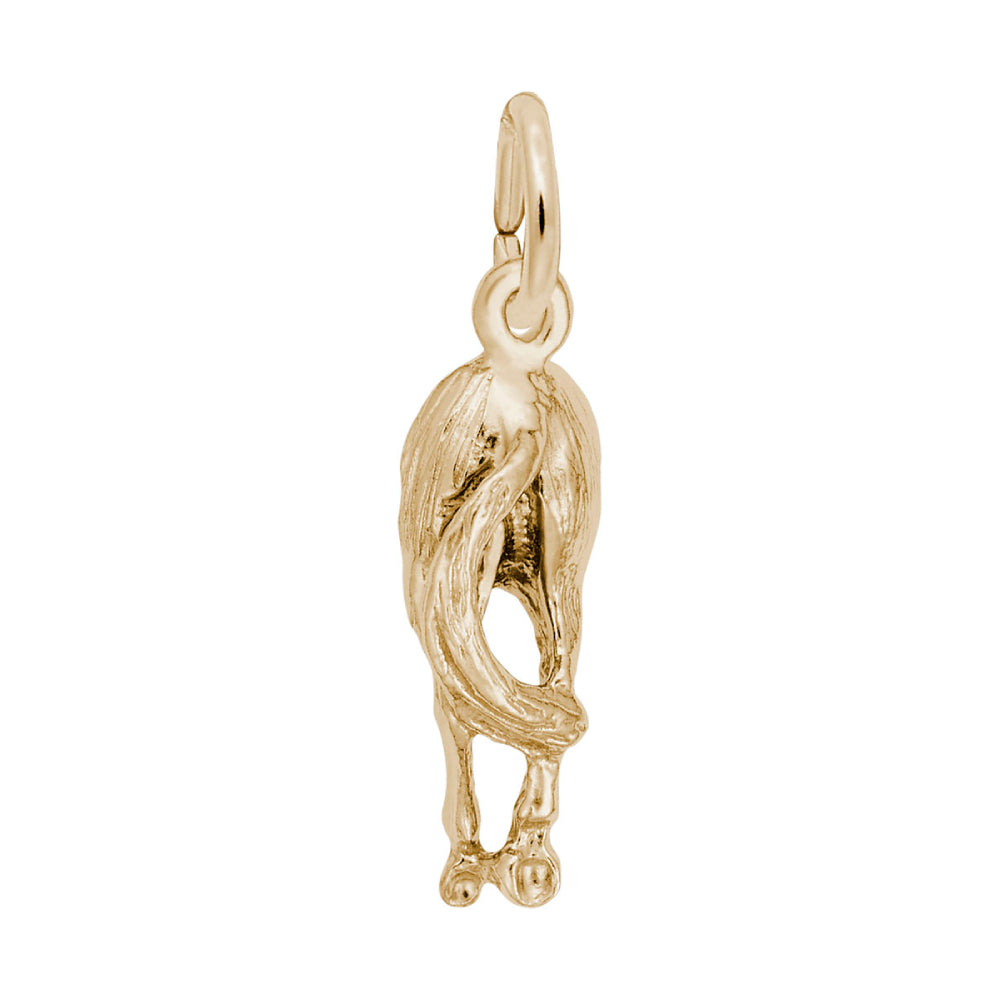 0384 Horses Behind Charm