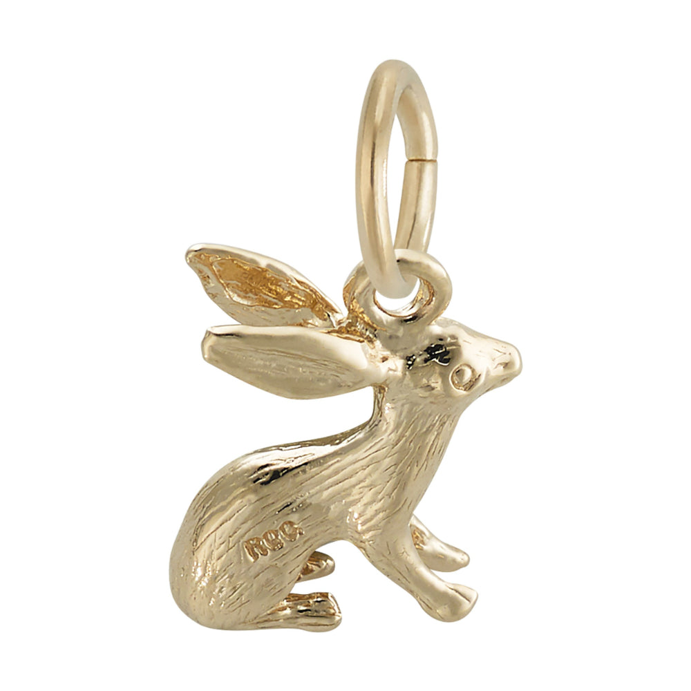 0577 Bunny Accent Charm