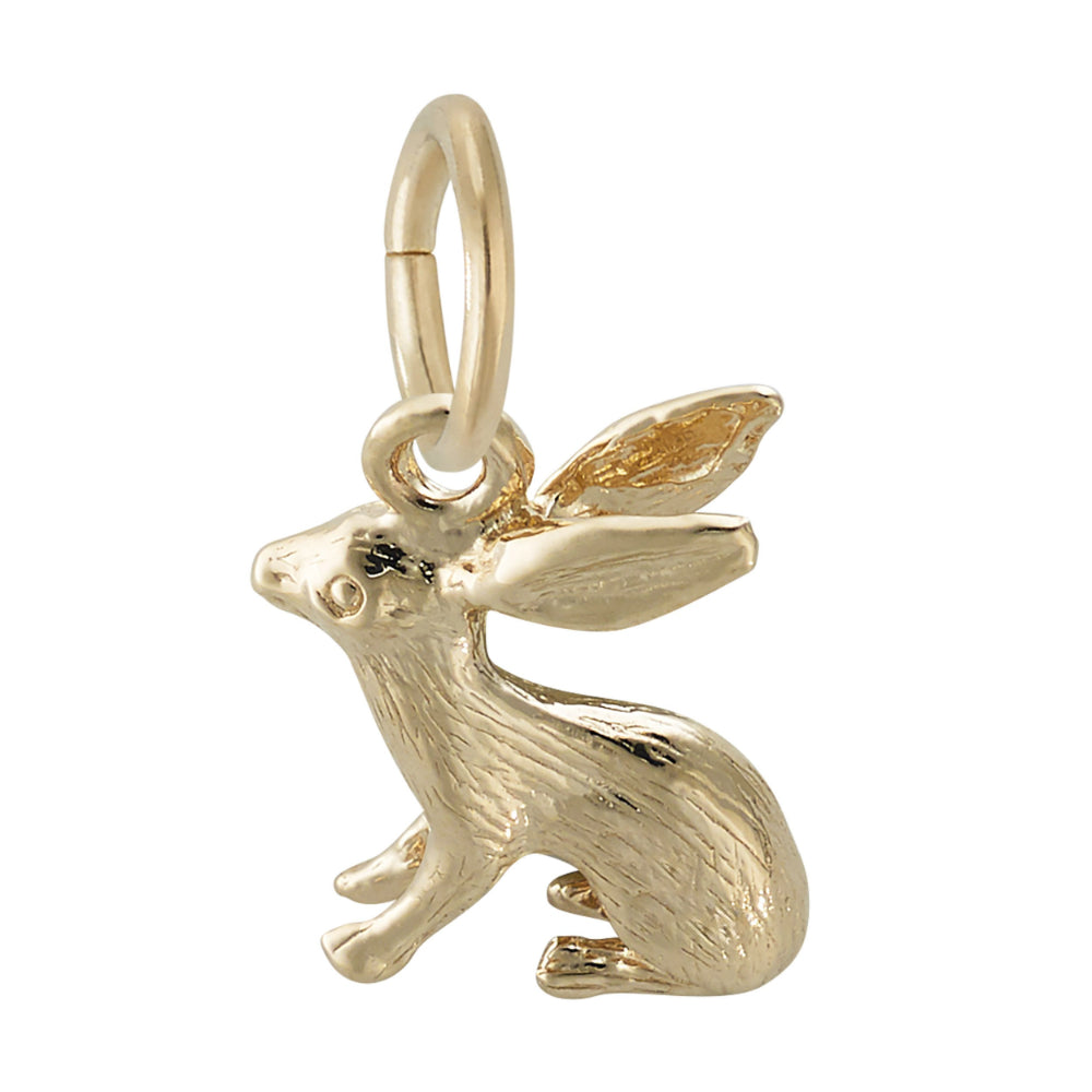 0577 Bunny Accent Charm