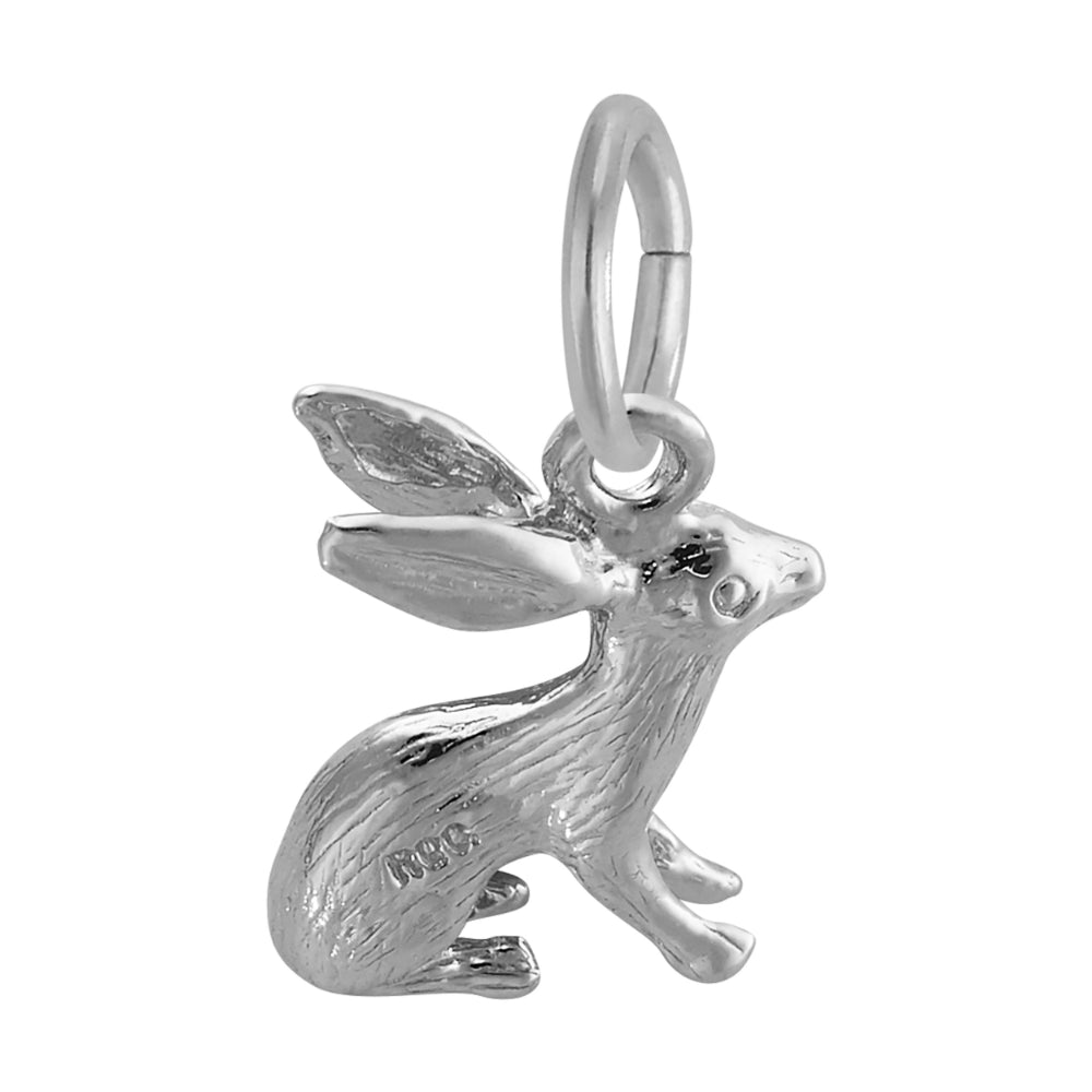 0577 Bunny Accent Charm