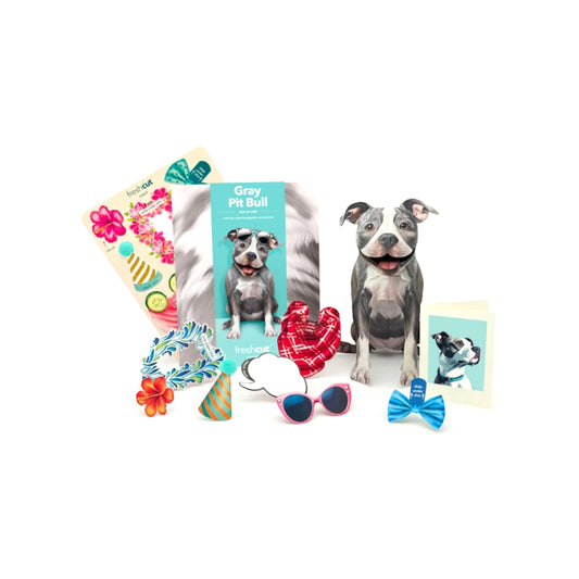 FreshCut Paper LLC Gray Pitbull Greeting Card