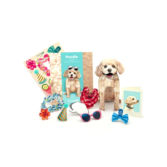 FreshCut Paper LLC Poodle Greeting Card