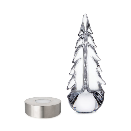 Simon Pearce Evergreen Essentials Gift Set