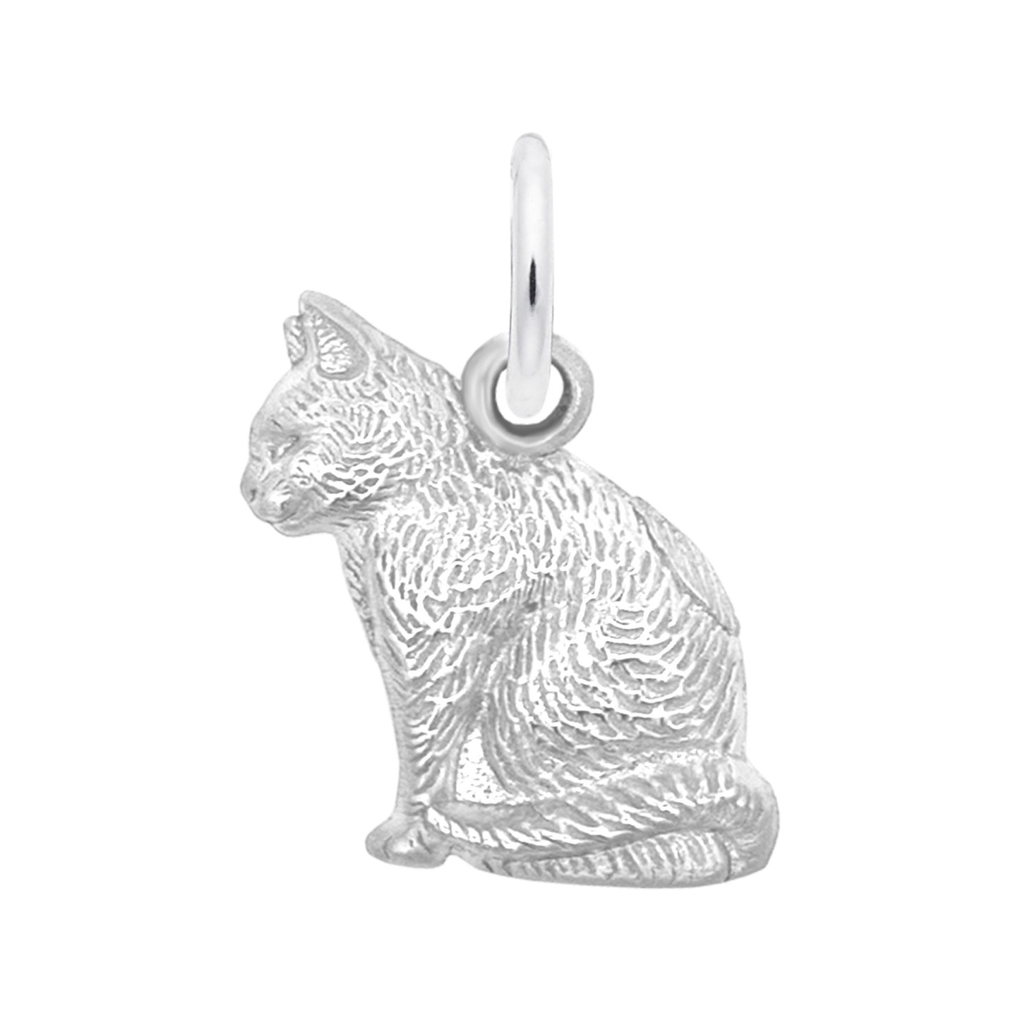 1159 Cat Charm