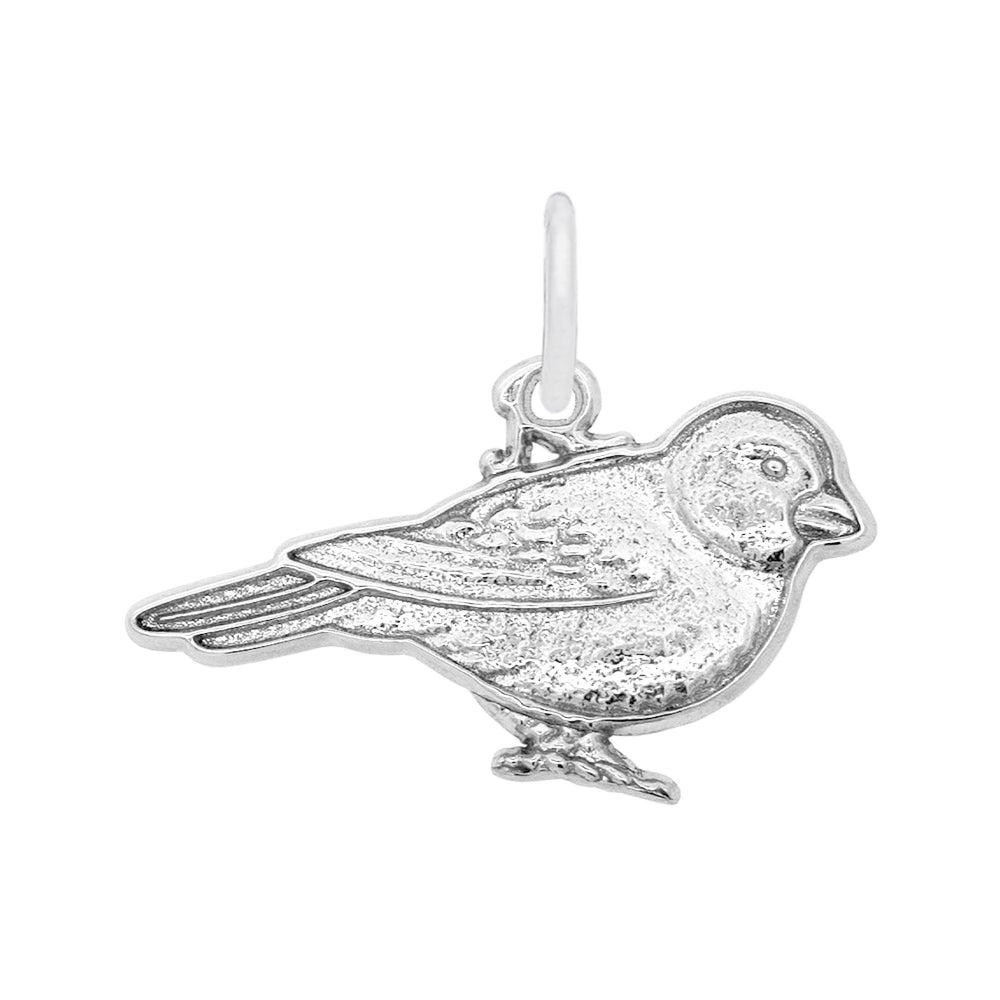 Silver bird-shaped pendant on a white background