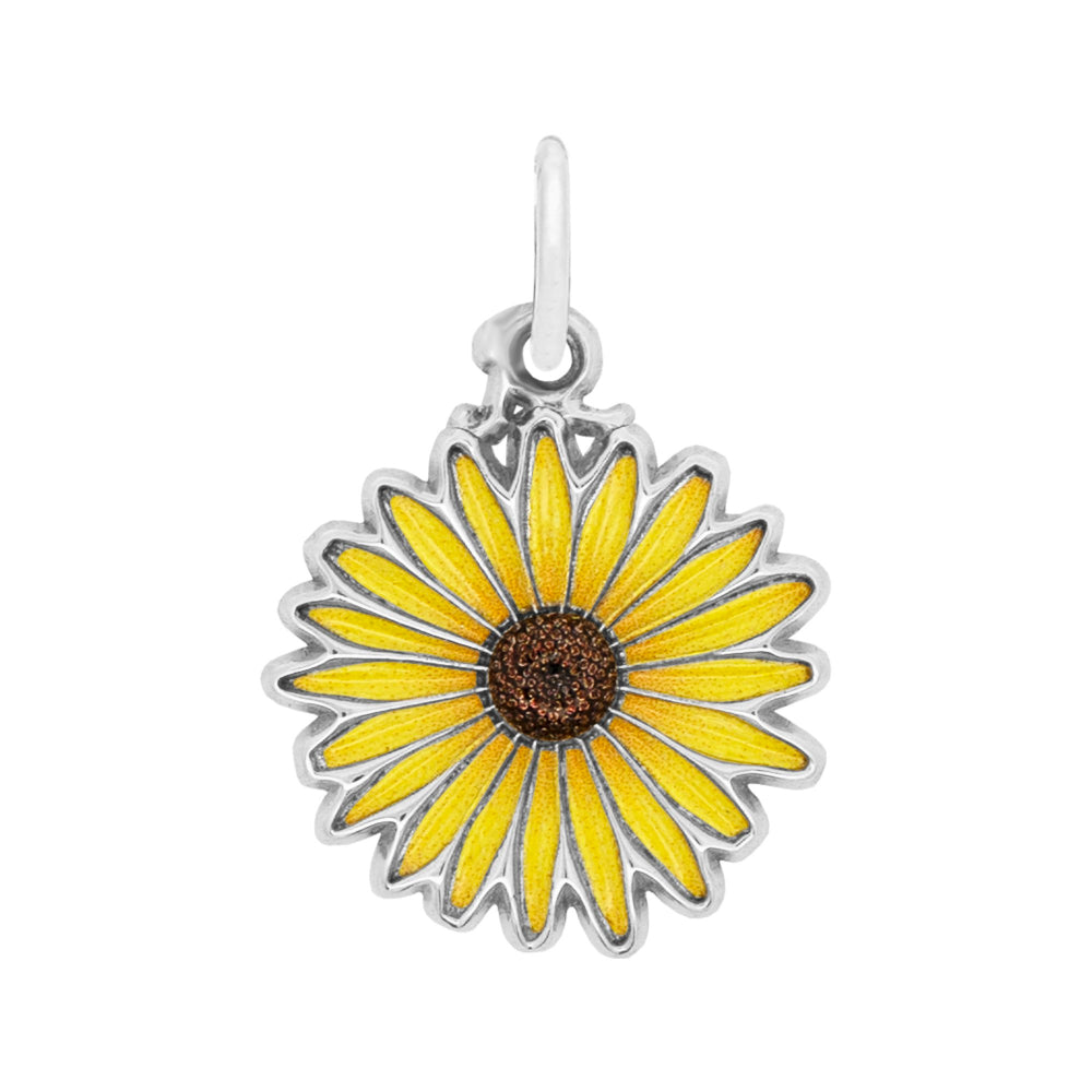 1168-001 Painted Black Eyed Susan