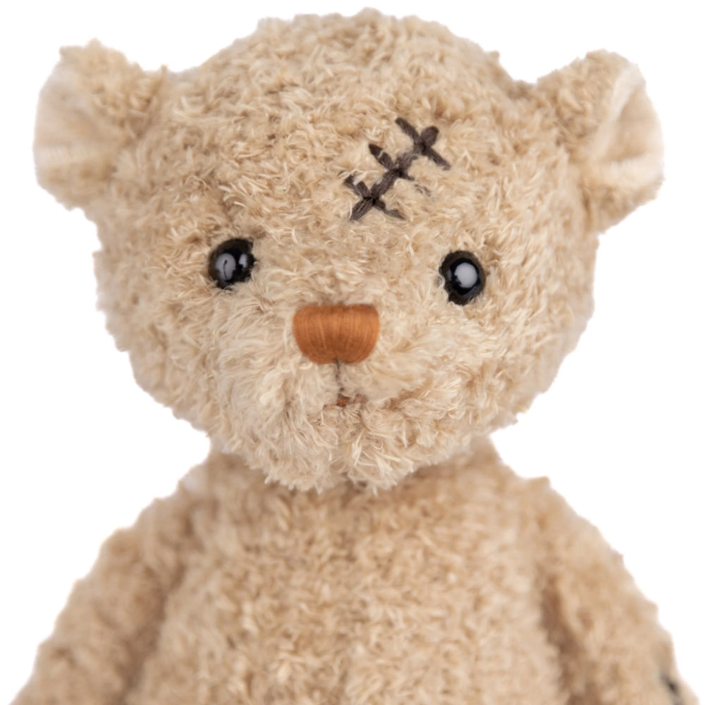 A close up photo of the face of a beige stuffed bear  with a scar on its head and a wound on its side, wearing a red and white checkered shirt, sitting upright with the phrase 'Nobody is Perfect' printed on its foot.