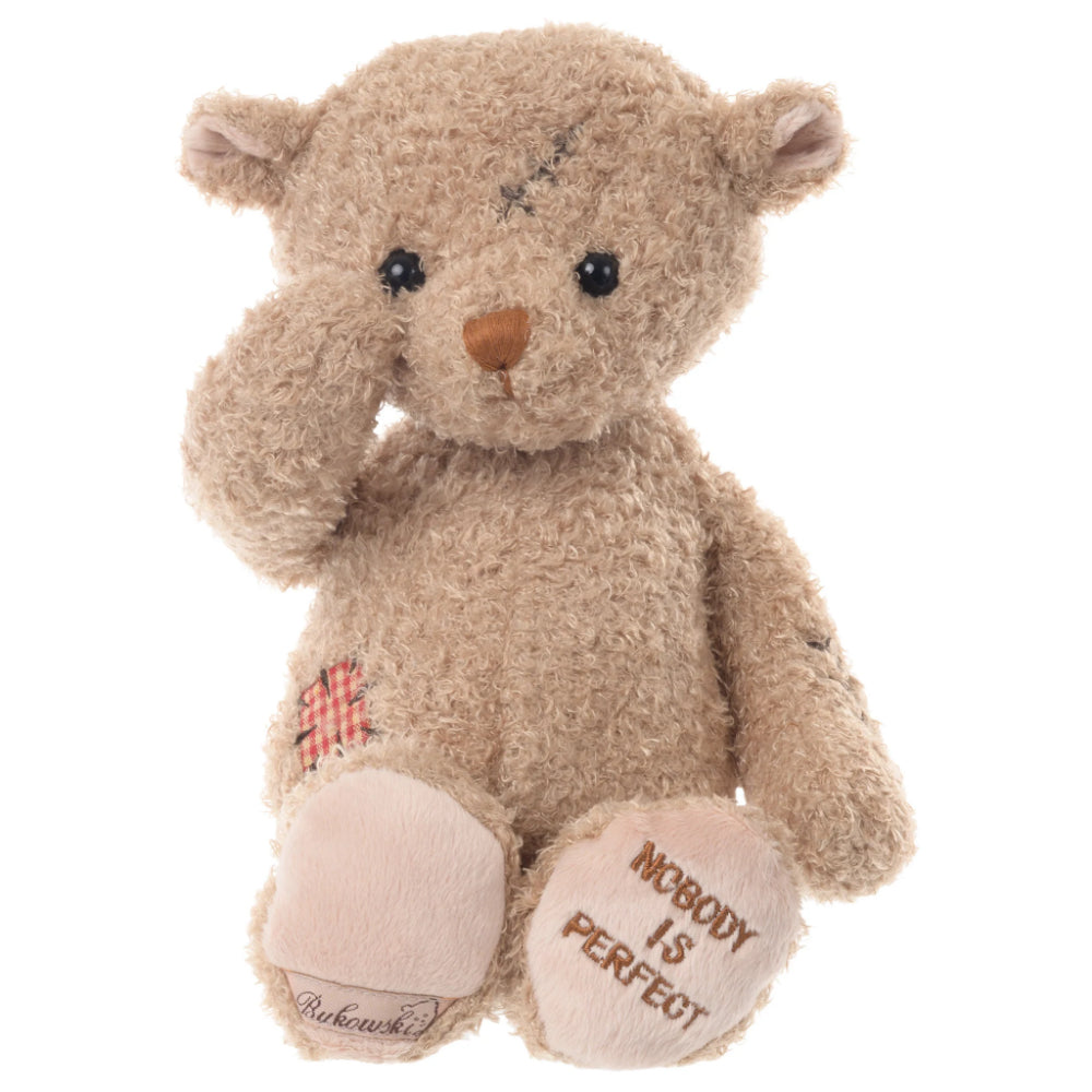 A beige stuffed bear with a scar on its head and a wound on its side, wearing a red and white checkered shirt, sitting upright with the phrase 'Nobody is Perfect' printed on its foot.