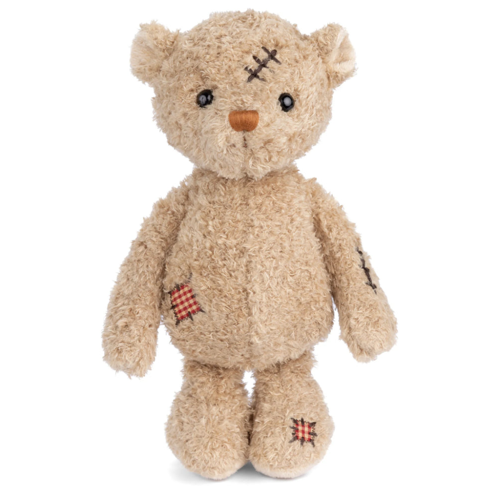 A photo of a beige stuffed bear standing with a scar on its head and a wound on its side, wearing a red and white checkered shirt, sitting upright with the phrase 'Nobody is Perfect' printed on its foot.