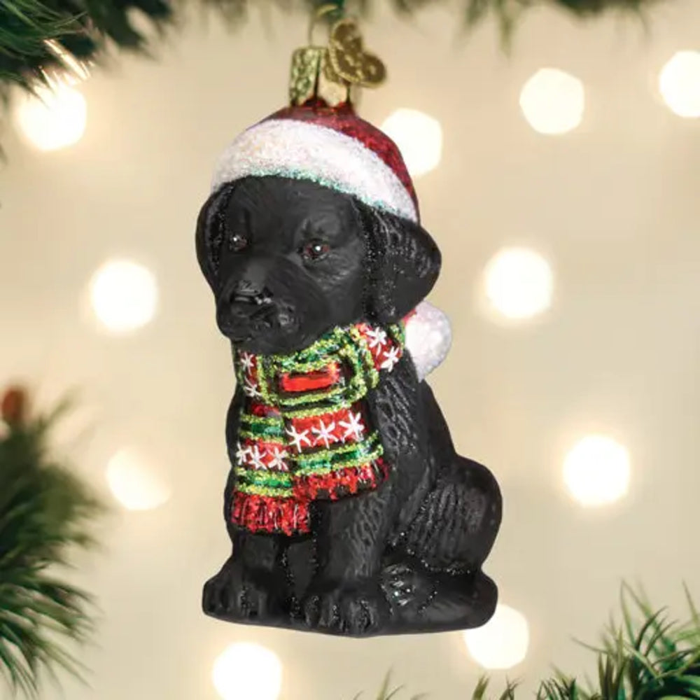 A black dog Christmas ornament wearing a red and white Santa hat and a green, red, and white patterned knit scarf, hanging against a warm blurred background with bokeh lights and pine branches.