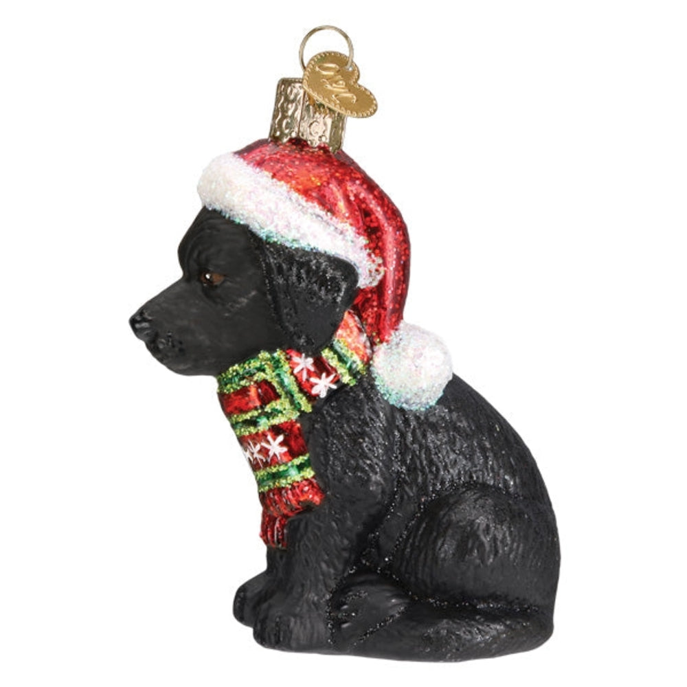 Black dog ornament wearing a red sequin Santa hat and green striped scarf on a white background.