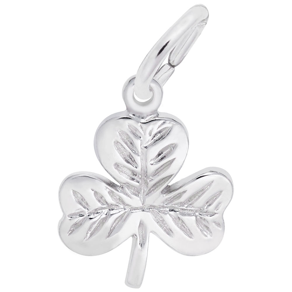 Silver shamrock charm on a white background