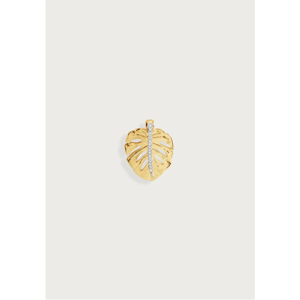 Anabel Aram Monstera Palm Charm
