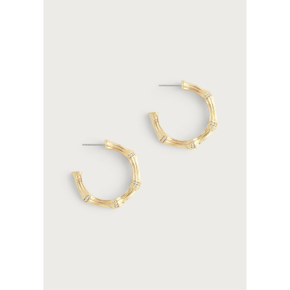 Anabel Aram Gold Bamboo Medium Hoop Earrings