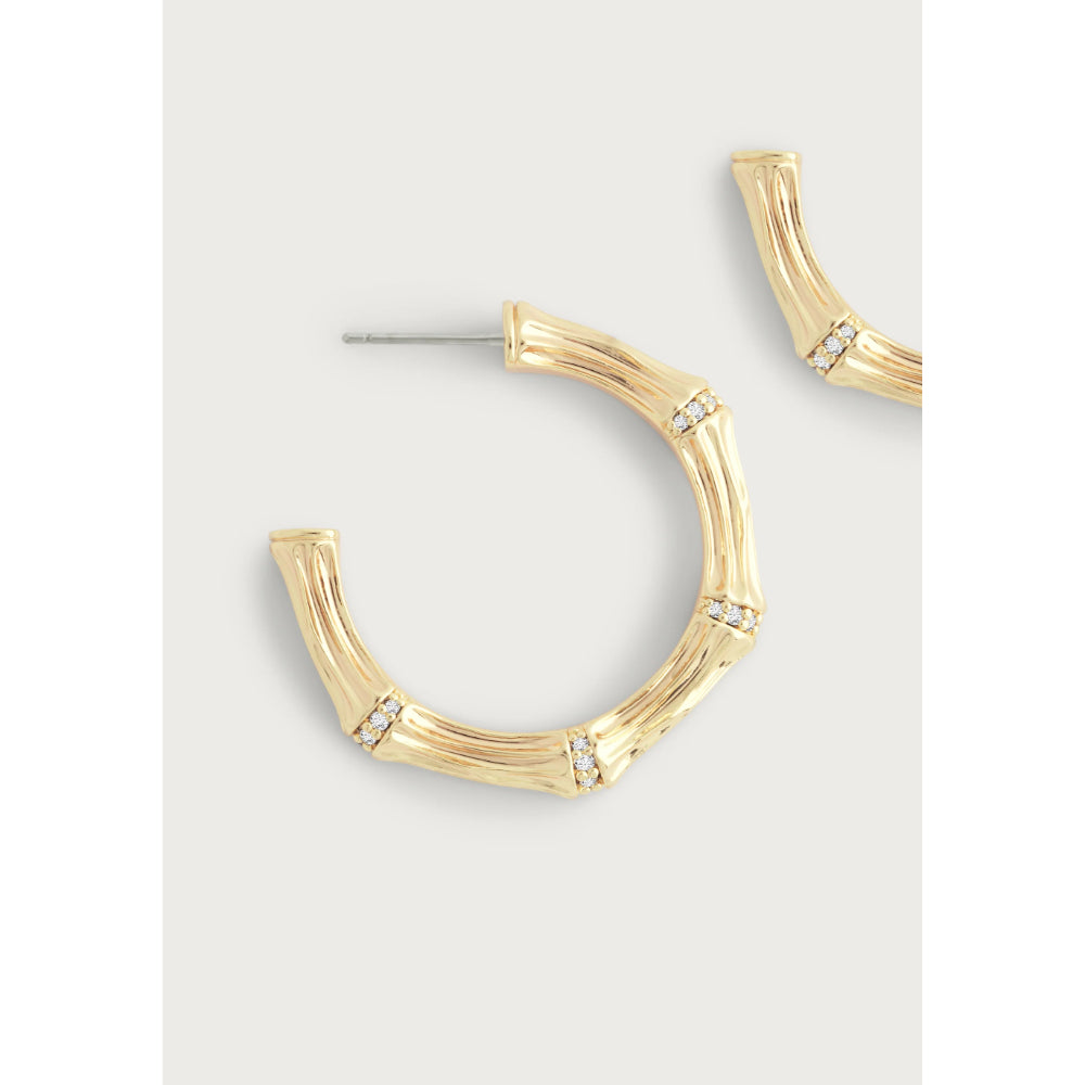 Anabel Aram Gold Bamboo Medium Hoop Earrings