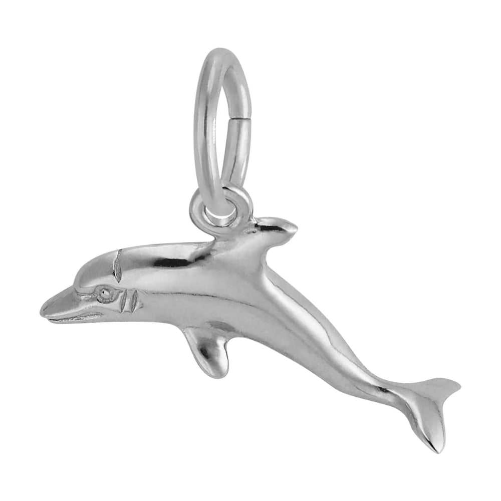 Silver Dolphin Charm facing left